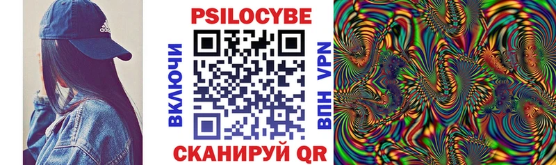 мега как войти  Александровское  Псилоцибиновые грибы Magic Shrooms  как найти  