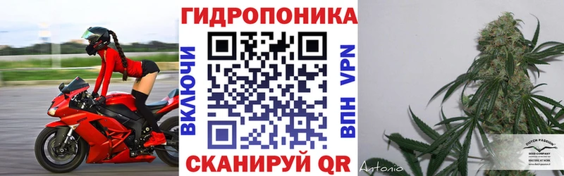 Конопля марихуана  Александровское 